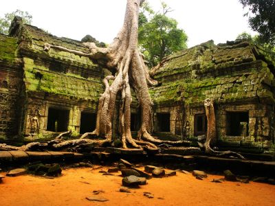 Ta-Phrom-Unique-Temple-In-Angkor-Complex